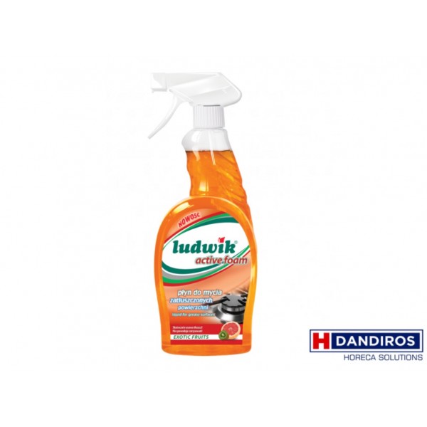 Ludwik Solutie Aragaz 750 ml Ludwik Solutie Aragaz 750 ml
